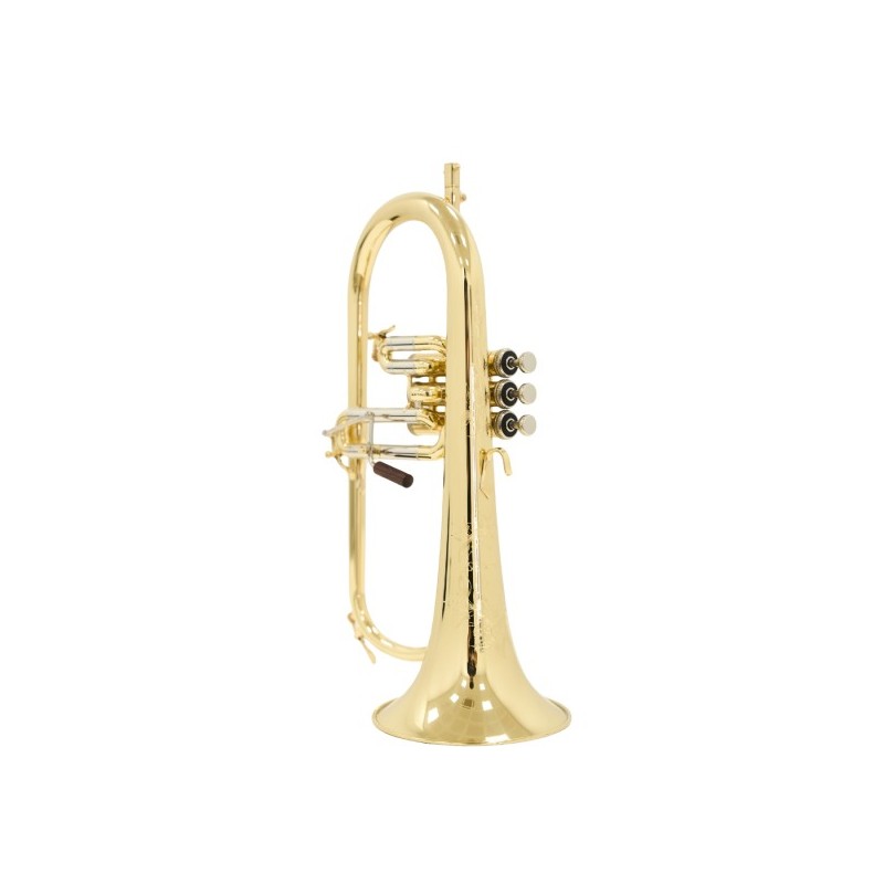 Fliscorno Shires Q19 - cómpralo ahora online en Instrumento Mania