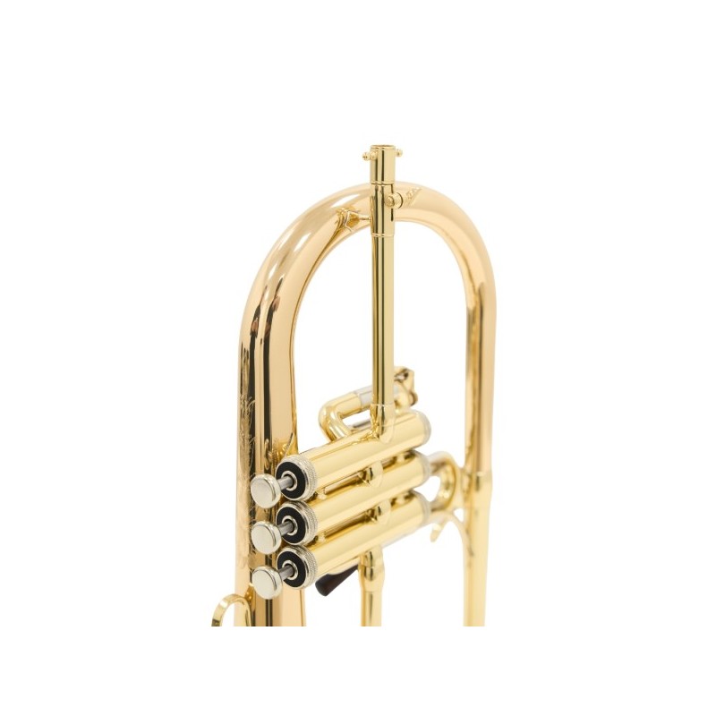 Fliscorno Shires Q19 G - cómpralo ahora online en Instrumento Mania