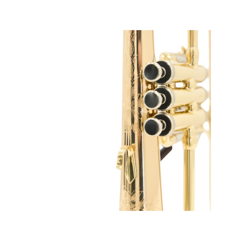 Fliscorno Shires Q19 G - cómpralo ahora online en Instrumento Mania