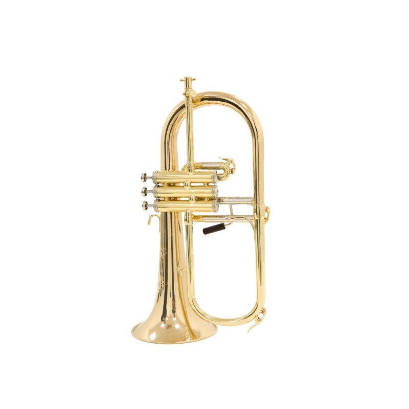 Fliscorno Shires Q19 G - cómpralo ahora online en Instrumento Mania