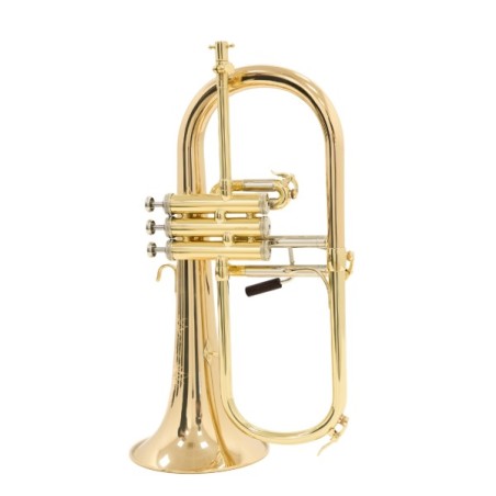 Fliscorno Shires Q19 G - cómpralo ahora online en Instrumento Mania