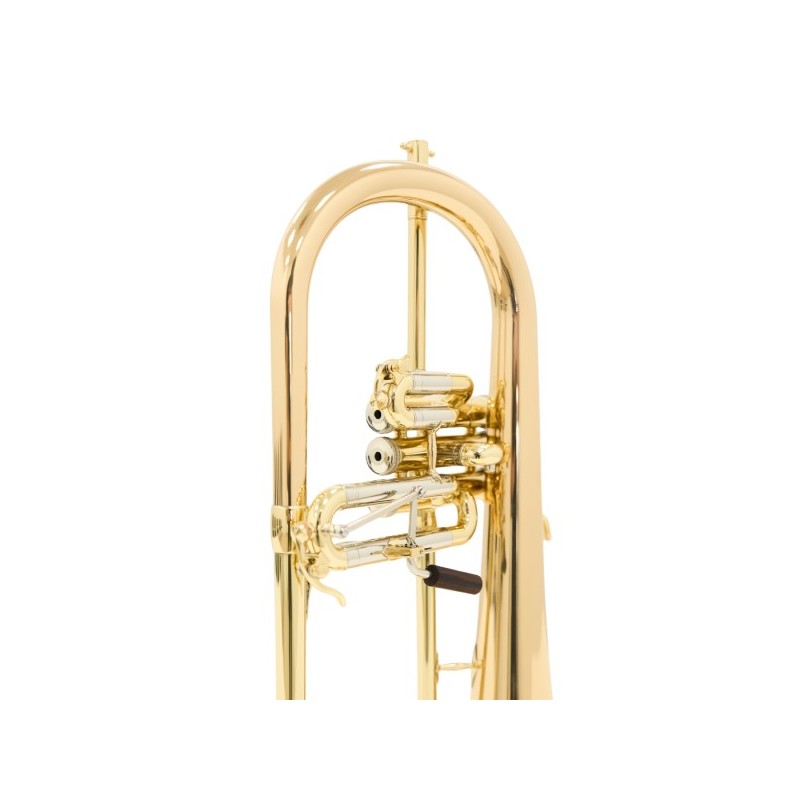 Fliscorno Shires Q19 G - cómpralo ahora online en Instrumento Mania