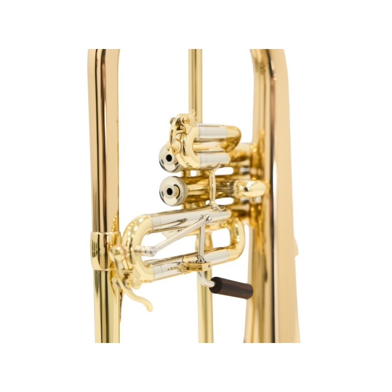 Fliscorno Shires Q19 G - cómpralo ahora online en Instrumento Mania