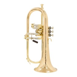 Fliscorno Shires Q19 G