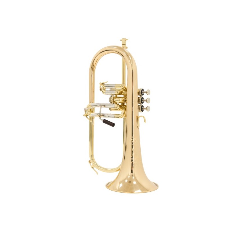 Fliscorno Shires Q19 G - cómpralo ahora online en Instrumento Mania