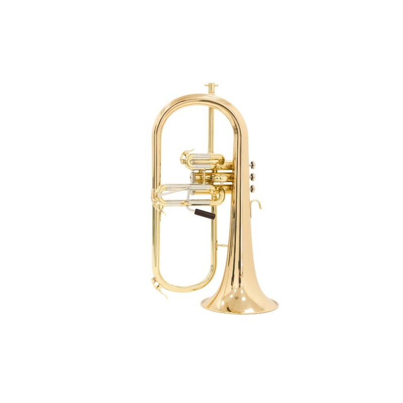 Fliscorno Shires Q19 G - cómpralo ahora online en Instrumento Mania