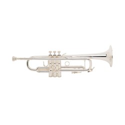 Trompeta Bach 180ML 43/25 S
