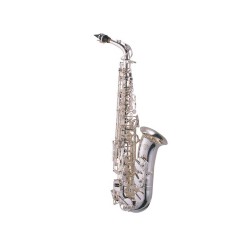 Saxo alto J.Michael AL900S