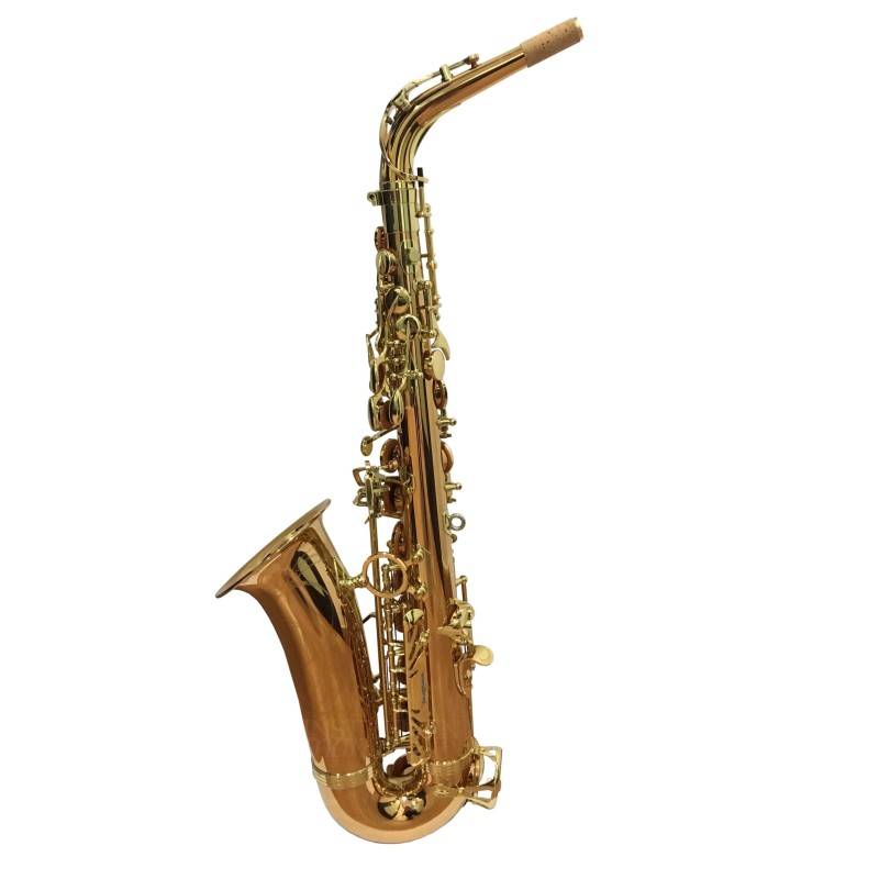 Saxo alto Yanagisawa A-W02