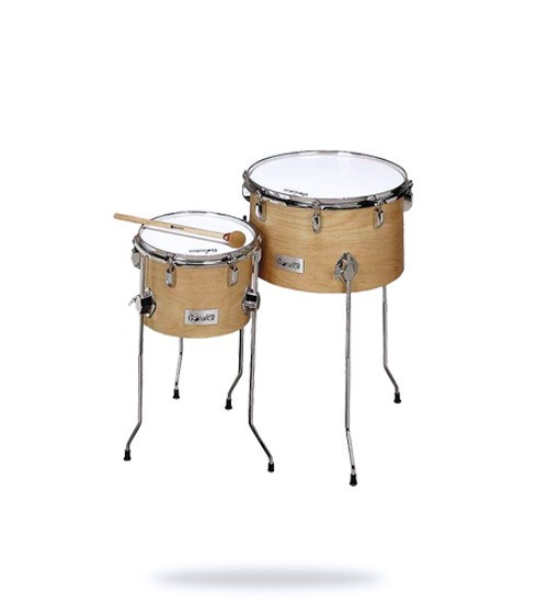 Timbales escuela