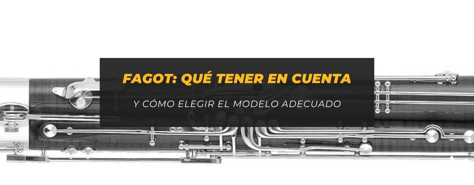 Fagot: qué tener en cuenta antes de comprar uno y cómo elegir el modelo adecuado
